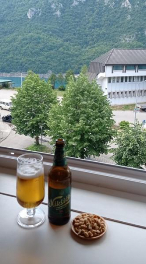 Apartment HOLIDAY LAKE - PIVA 2022